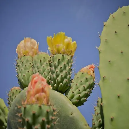 Casa Caleta Bed & Breakfast