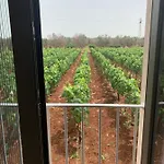 Casa Caleta 4* פורטו צ'זראו