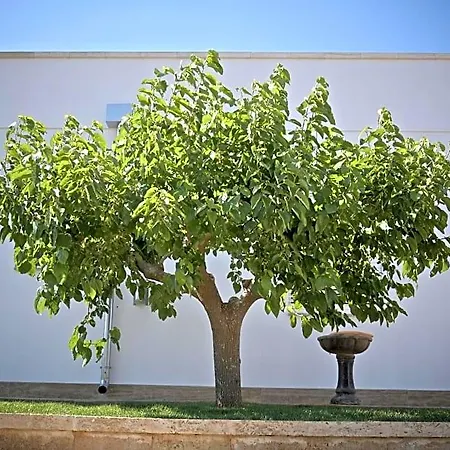 Casa Caleta Frühstückspension