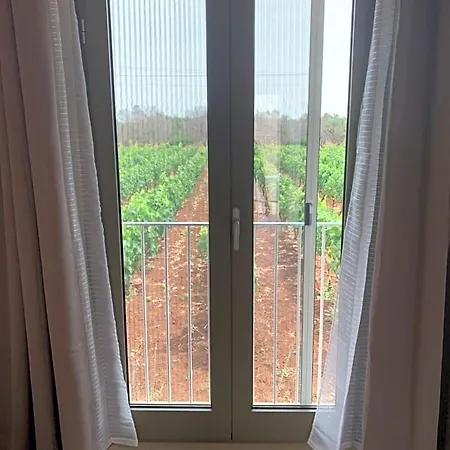 Casa Caleta 4*