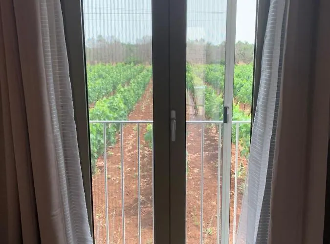 Casa Caleta Oda ve Kahvaltı 4*